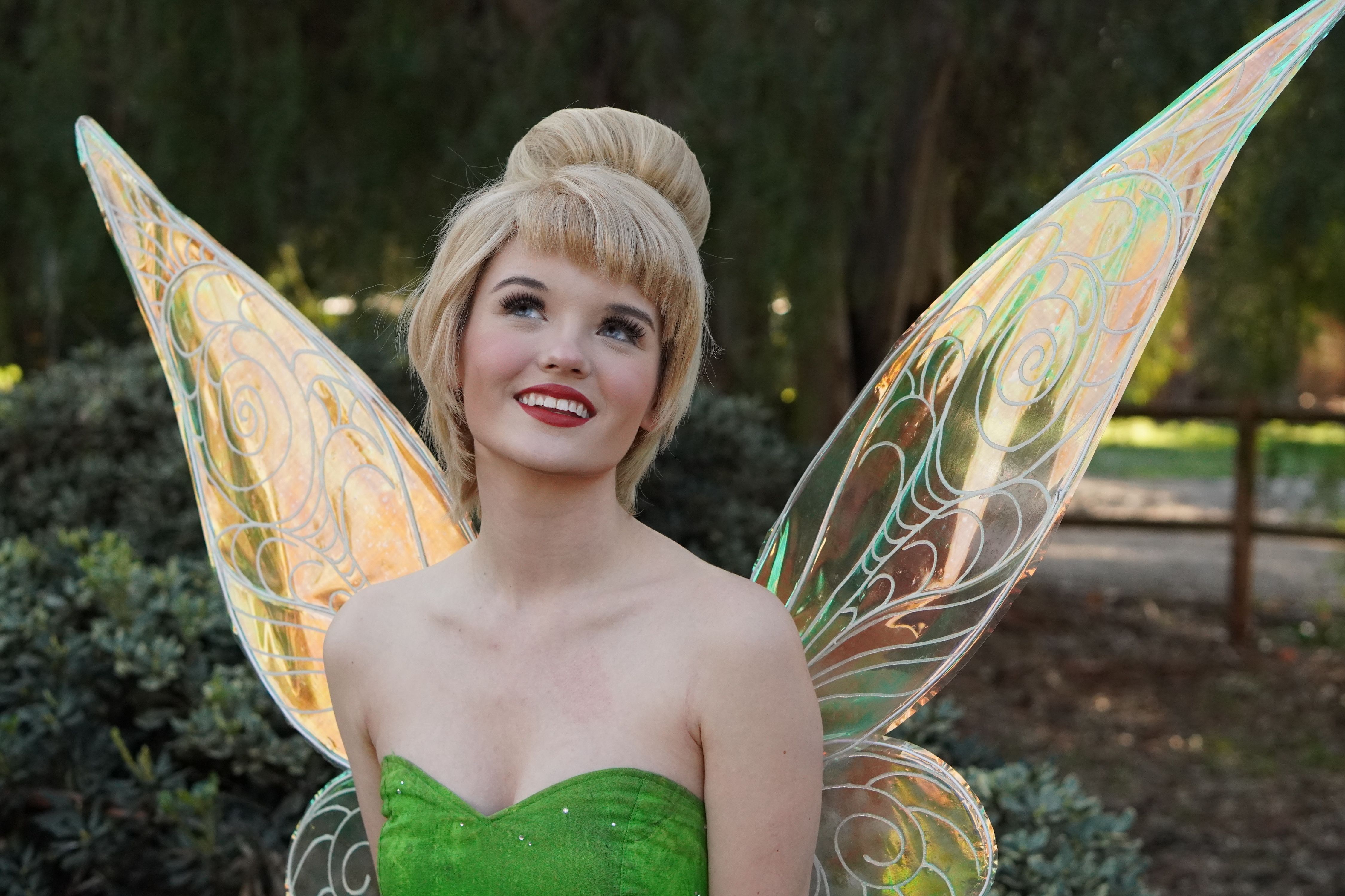 tinkerbell fairy party in san diego